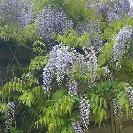 Semesterbostad Ici C'est Chouette *